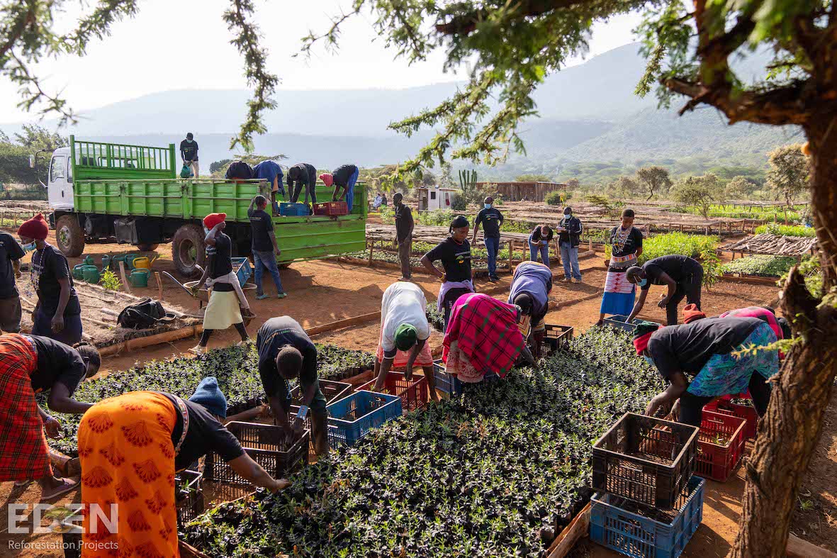 Picture of local community members planting trees in tree nursery