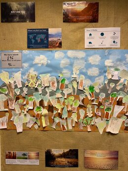 Poster of deforested area, reforested with trees drawn by the children