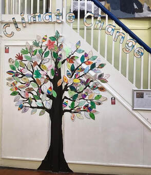 Picture of Stillness Infant Schools Grow your own forest challenge. Every leaf represents a tree planted by their pupils