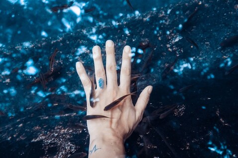 Picture of Minnows swimming around someone's hand