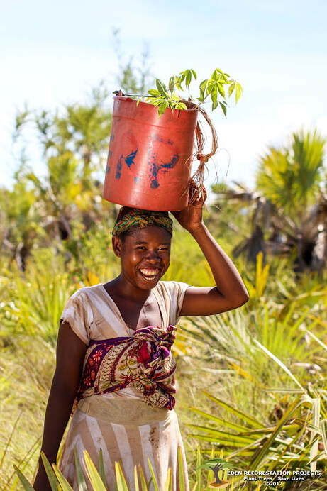 Picture of a young woman transporting saplings to their planting site