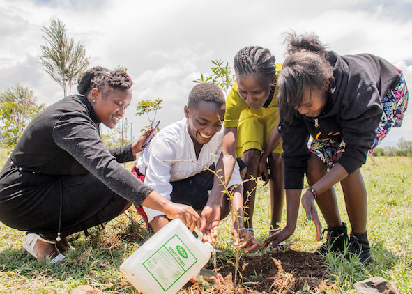 Young female students planting a tree and pouring water on it