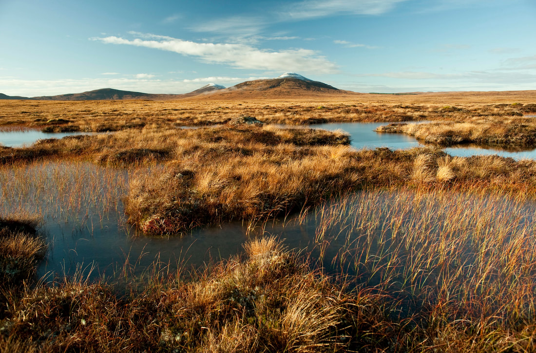 Picture of the Wetlands in the Flow Country, Scotland