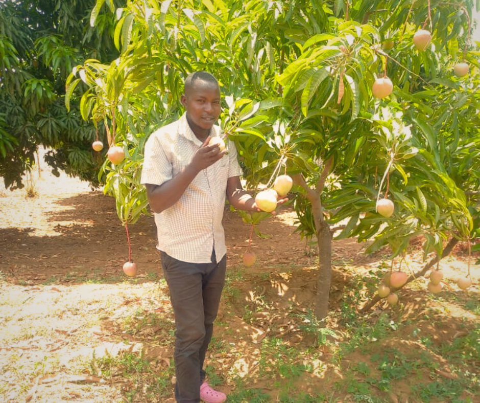 Man picking fruit from the tree he has planted