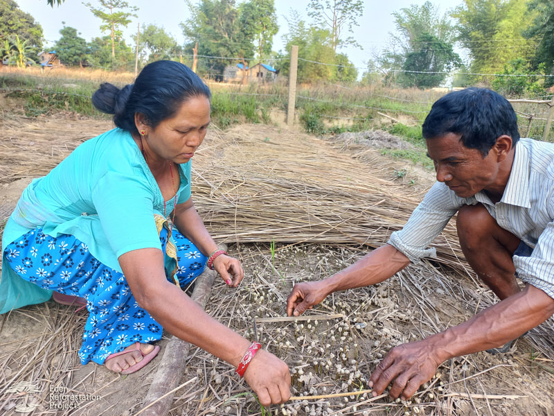 Man and women planting seeds in a tree nursery in Nepal