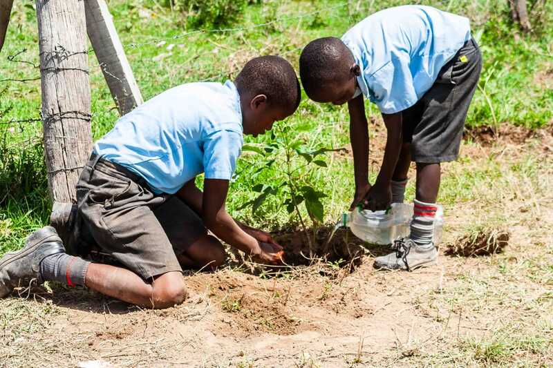 Kenyan boys planting a tree