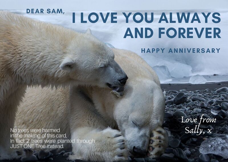 Polar bear anniversary card