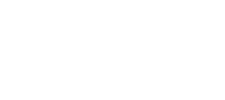 Accion Andina Logo