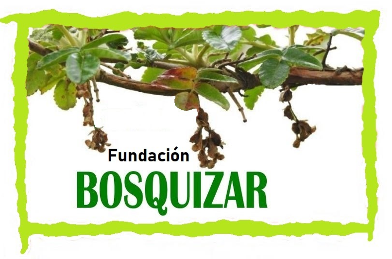 Picture of Fundaćion Bosquizar logo