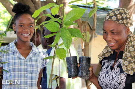 Two workers holding tree saplings ready for planting