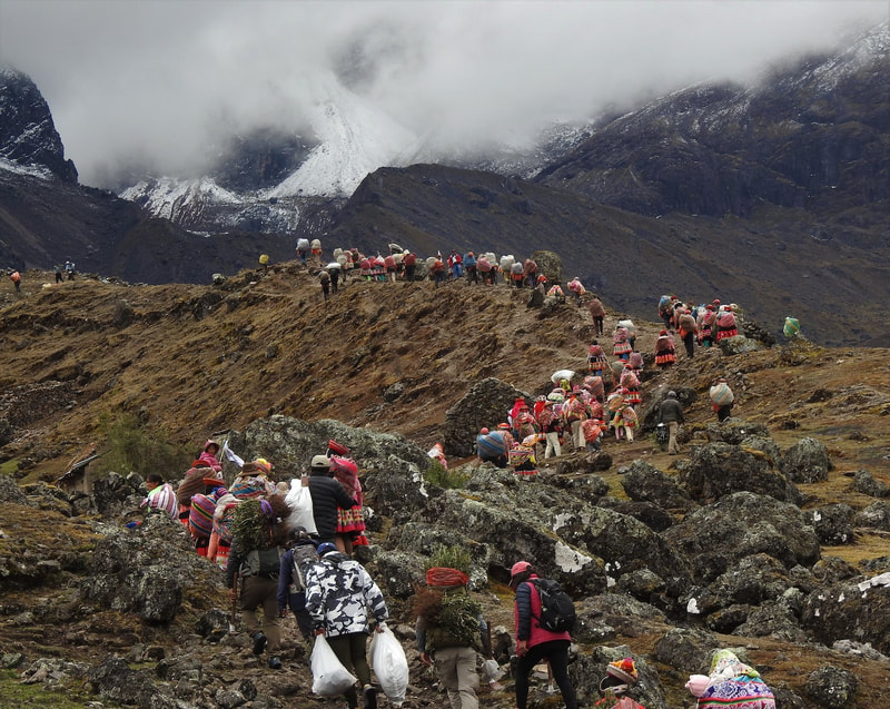 people walking up the mountain to plant trees in Peru