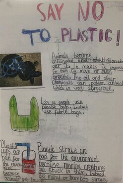 Say no to plastic poster