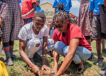 Picture of trees being planted in Kenya