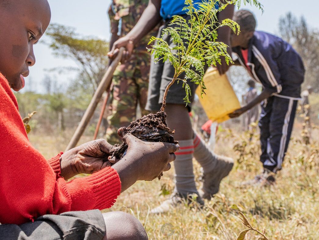 Picture of a young boy planting a tree in Kenya