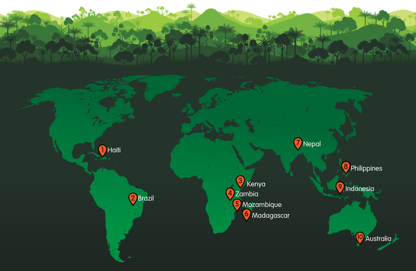Map of our reforestation sites around the world
