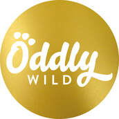 Oddly Wild Logo