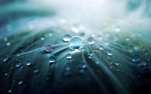 Picture of water droplets on a leaf