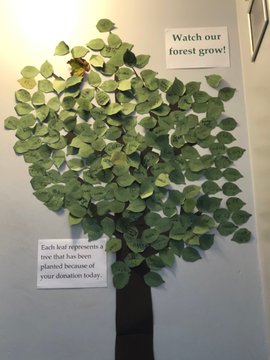 Poster of a tree filled with green leaves