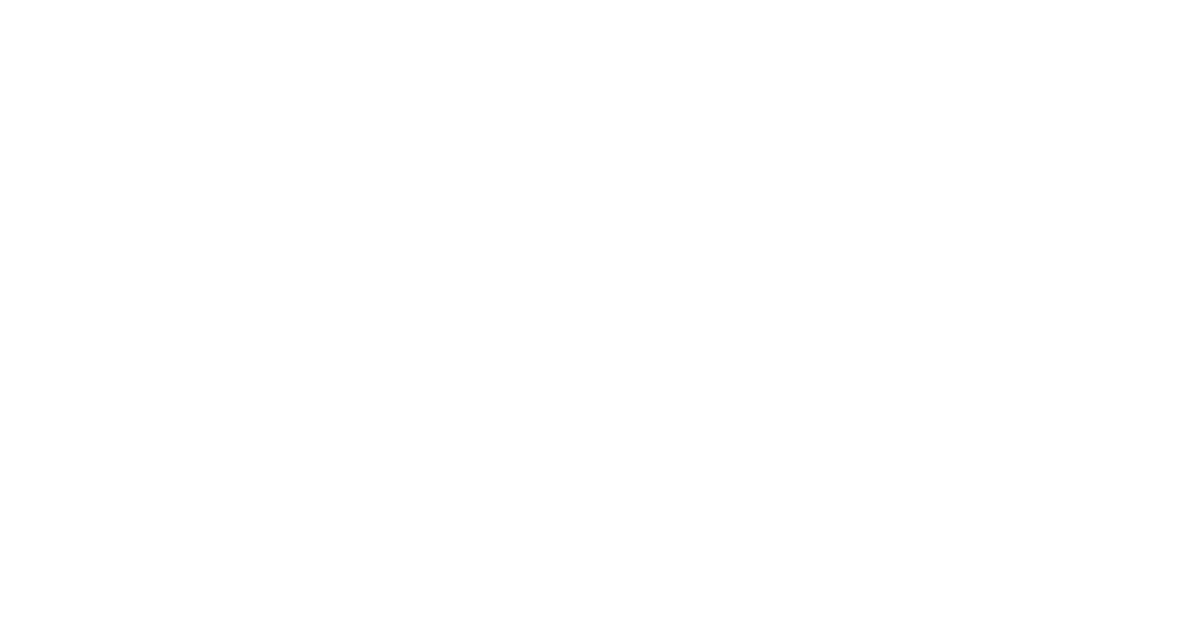 Accion Andina United Nations World Restoration Flagship logo