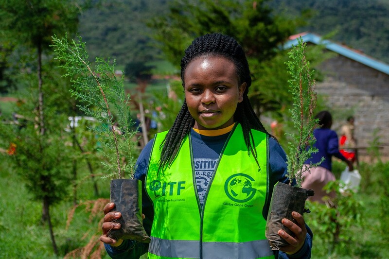 Kenyan worker holding tree saplings