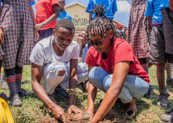 Teachers demonstrating how to plant a tree to students.