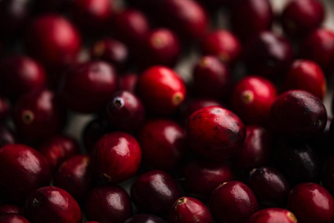 Close up photo of delicious cranberries