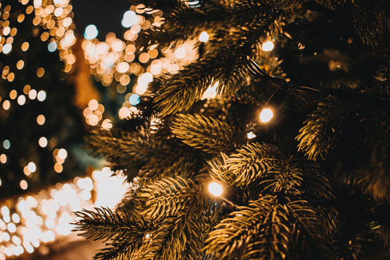 Picture of A Christmas tree and fairy lights