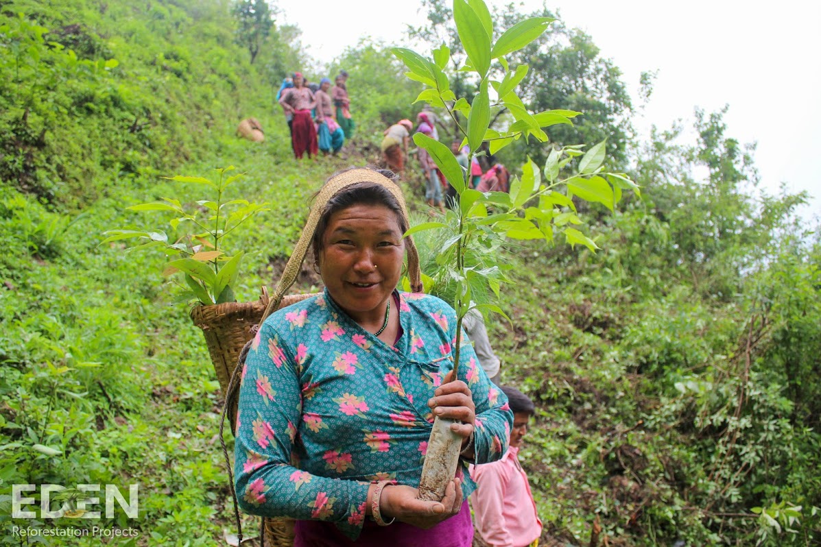 Woman holding a tree in Nepal hills