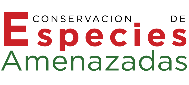 ICEA Logo
