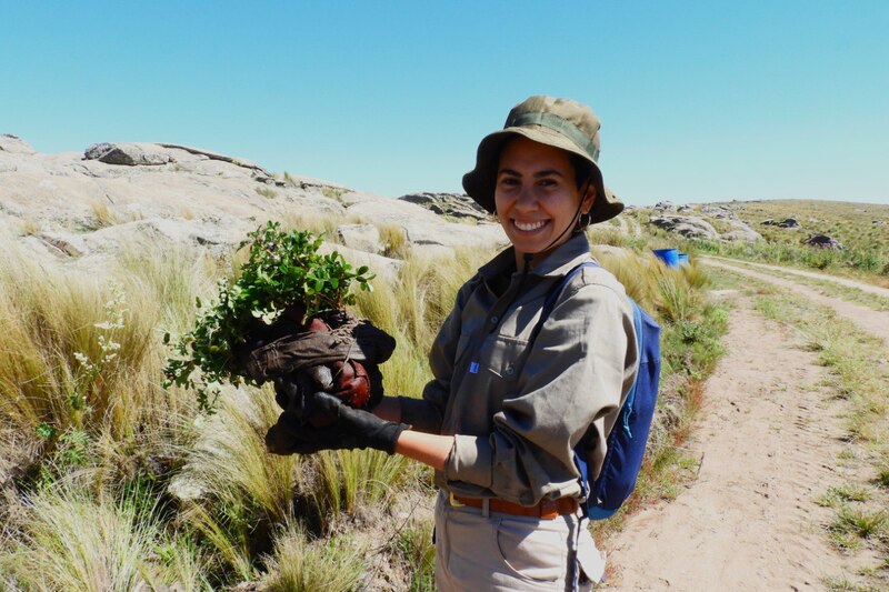 Picture of a woman smiling to camera as she plants a tree in the High Andes