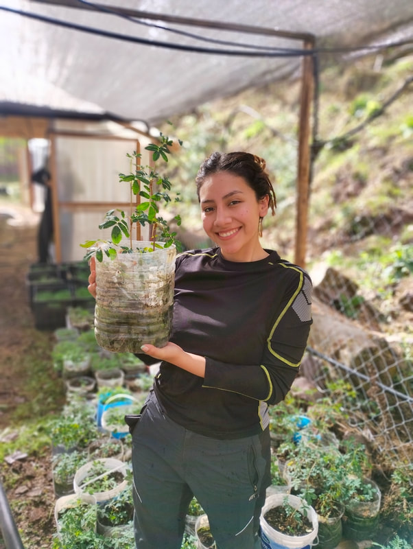 Picture of a woman in a tree nursery holding young saplings