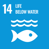 Life Below Water UN Sustainable Development Goals