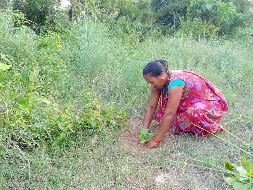 Picture of a woman planting a tree in Nepal
