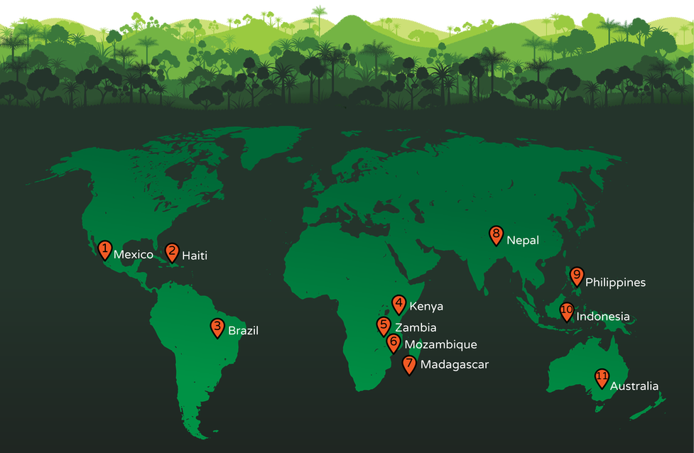 Map of our reforestation sites around the world