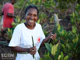 Worker planting Mangrove propugales