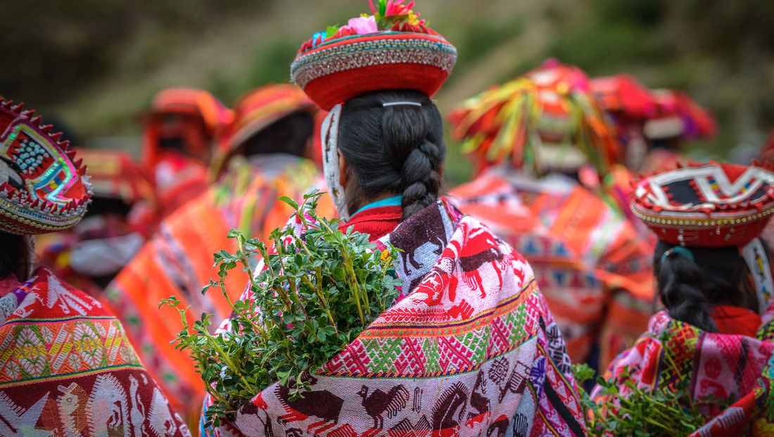 Picture of Peruvian women in formal dress, carrying tree saplings