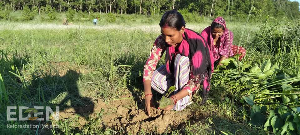 Women planting trees in Nepal