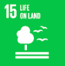 Life on Land UN Sustainable Development Goals