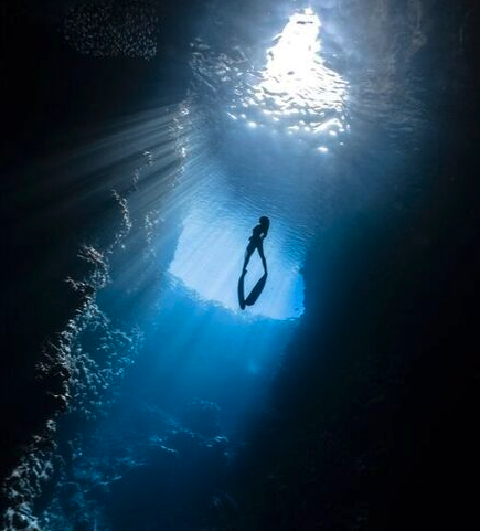 Picture of a free diver